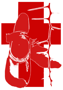The House of Lydia Logo